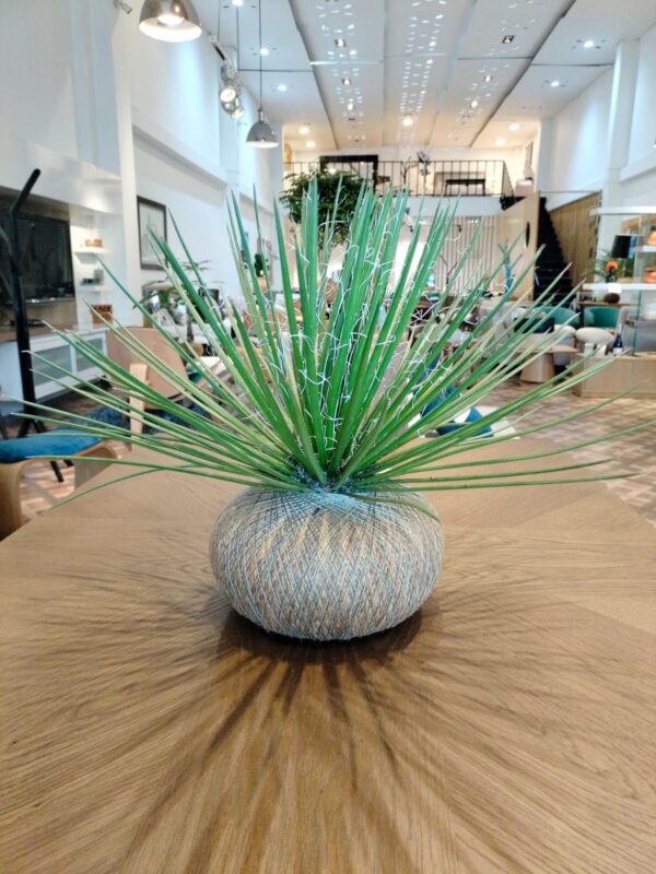Agave